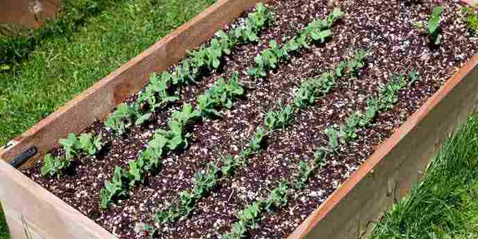 How to Build and Plant a Raised Garden Bed