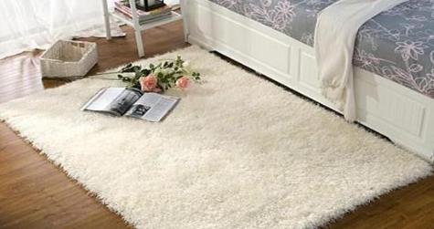 Carpet Use Evaluation