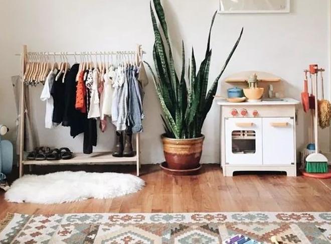 What Green Plants Should be Put in the Bed Room