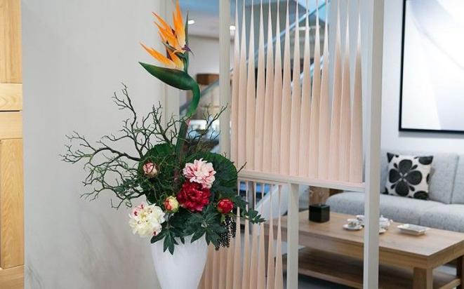What Green Plants Should be Put in the Living Room