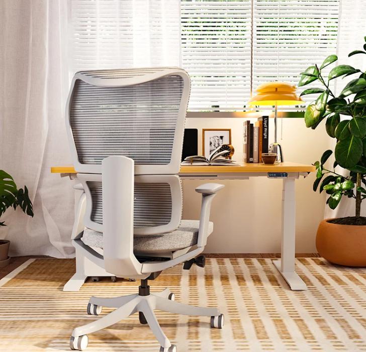 Unlocking Comfort: The FlexiSpot Ergonomic Office Chair BS14